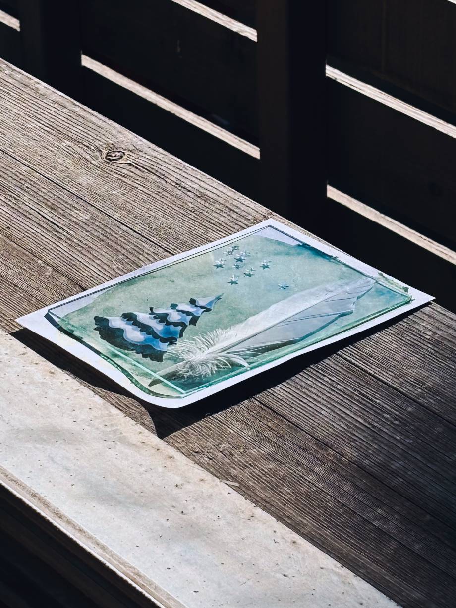 Exposition d’un ouvrage au soleil avant le lavage à l’eau – Margaux Meurisse