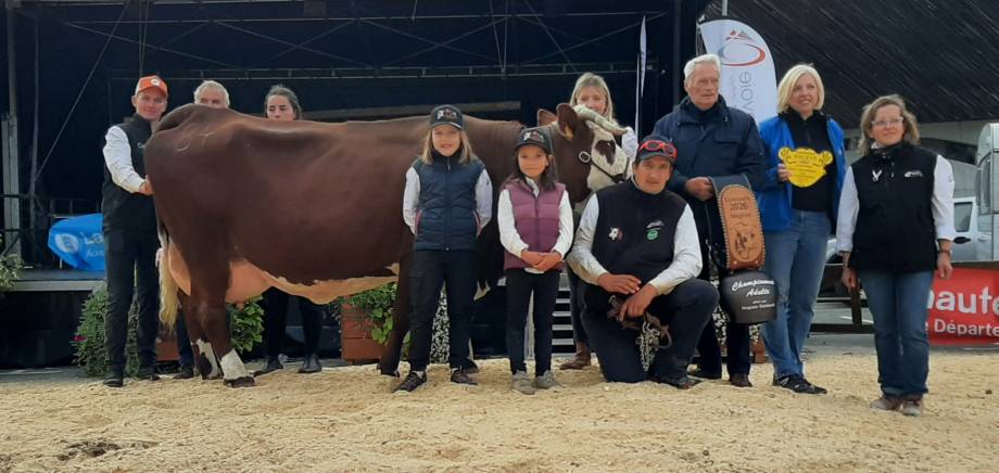 Comice Agricole du 11/10/2026 - Association du Concours de la Race Abondance de Megève, , Combloux, Demi-Quartier et Praz-sur-Arly