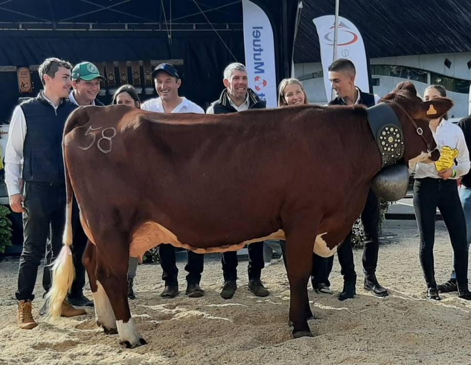 Comice Agricole du 11/10/2026 - Association du Concours de la Race Abondance de Megève, , Combloux, Demi-Quartier et Praz-sur-Arly