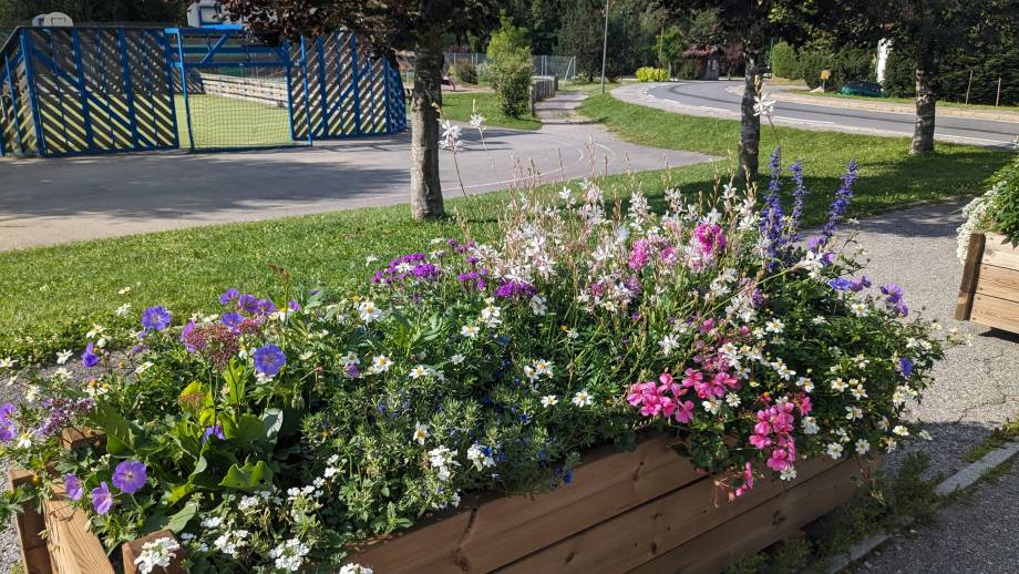 Un village joliment fleuri - Marie-Anaïs Lien