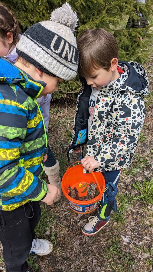 Chaque être vivant a un rôle à jouer dans la nature. - Marie-Anaïs Lien