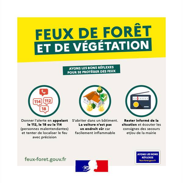 Feux de forêt et de végétation. Ayons les bons réflexes pour se protéger des feux - Gouvernement français