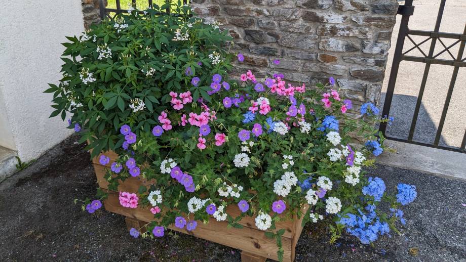 Un cimetière joliment fleuri - Marie-Anaïs Lien