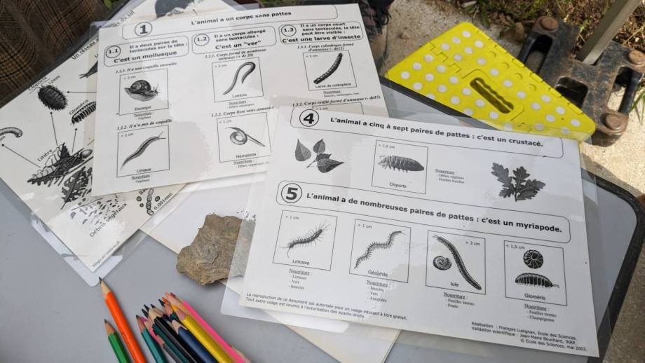 Initiation au compostage sur les sites des Rafforts et des jardins partagés - Marie-Anaïs Lien