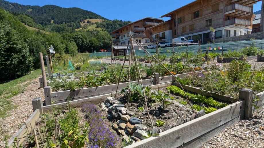Merci à l'association des Jardins de Pratz pour entretenir ces beaux jardins partagés - Marie-Anaïs Lien