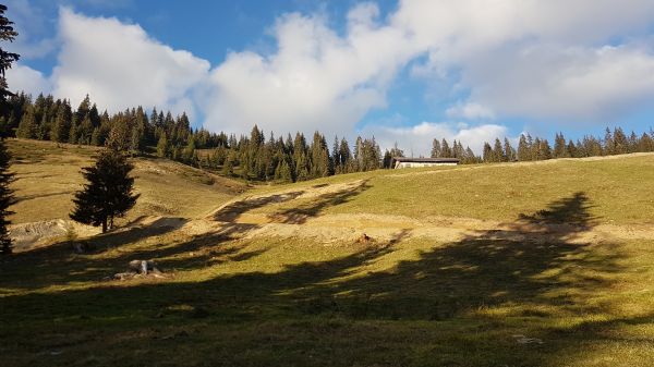 Sentier du Plan de l'Aar élargi © Marie-Anaïs Lien