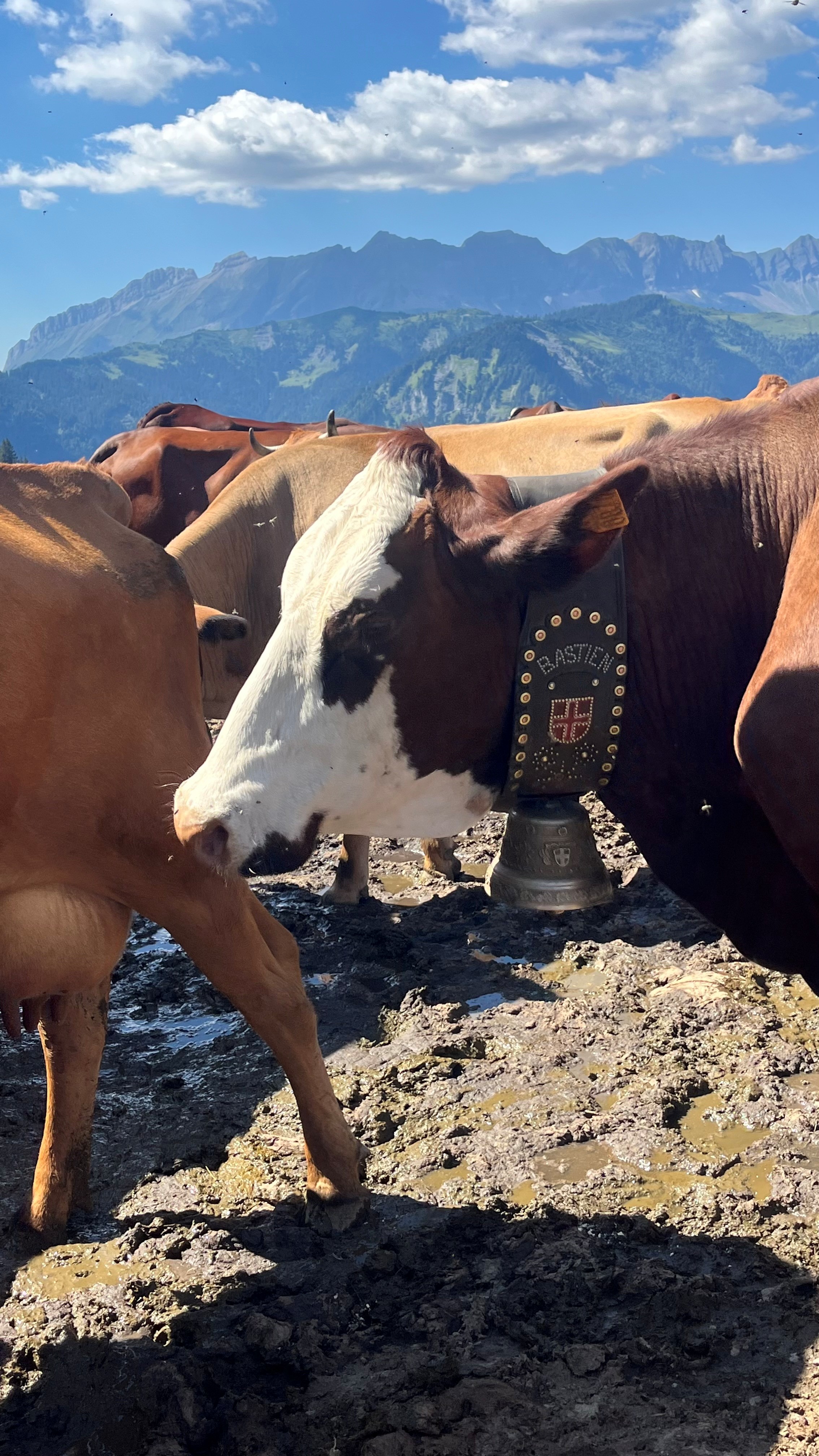 Assises Européennes de la Montagne  organisées du 30 juin au 2 juillet 2026 - ?