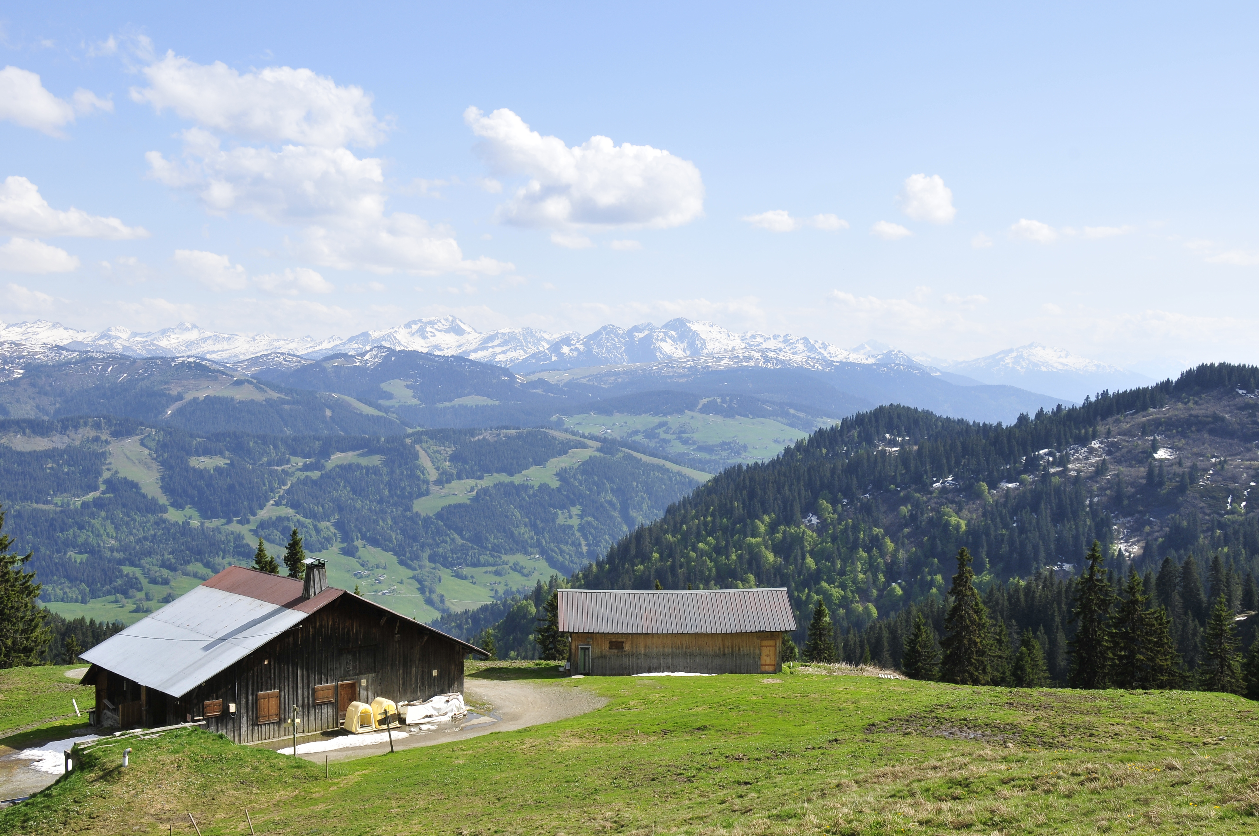 Alpage du Plan de l'Aar - Gaël Joncour