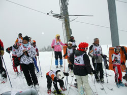 Coupe du conseil de 2009