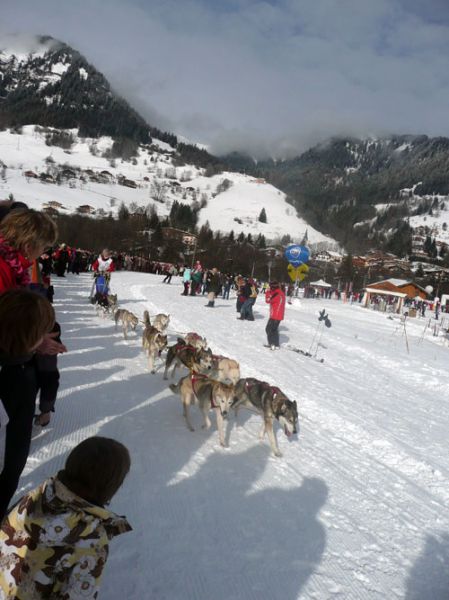 Grande Odyssée de janvier 2011 - David Morineau/Sylvie Bessy