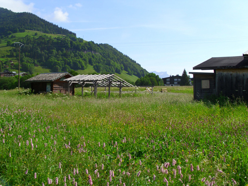 Lieu et place du êtit chalet &quot;Crêperie&quot; qui existait jusque-là en attente d'une offre pour l'exploitation, en juin 2011
