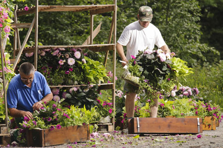 Fleurissement de Praz - Gaël Joncour/Detailphoto