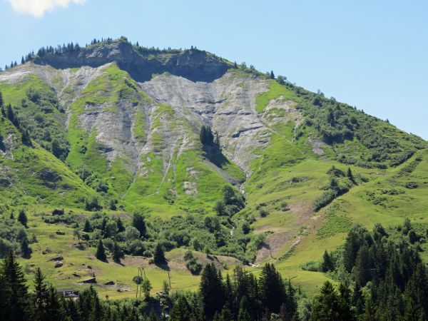 Reconquête pastorale sur l'alpage de la Pierre, près du départ du TS de Ban rouge : plus de 6 200 m² d'aulnes verts et autres arbustes/arbres ont été coupés et broyés en juin 2019. - Yann Jaccaz