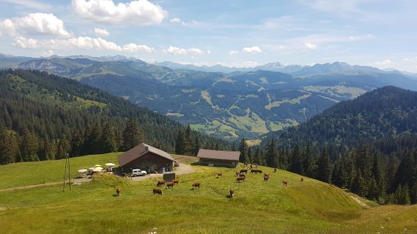 Vue sur le logement des alpagistes et le refuge du Plan de l'Aar, depuis la crête du Torraz située à 1 820 m d'altitude © Marie-Anaïs Lien