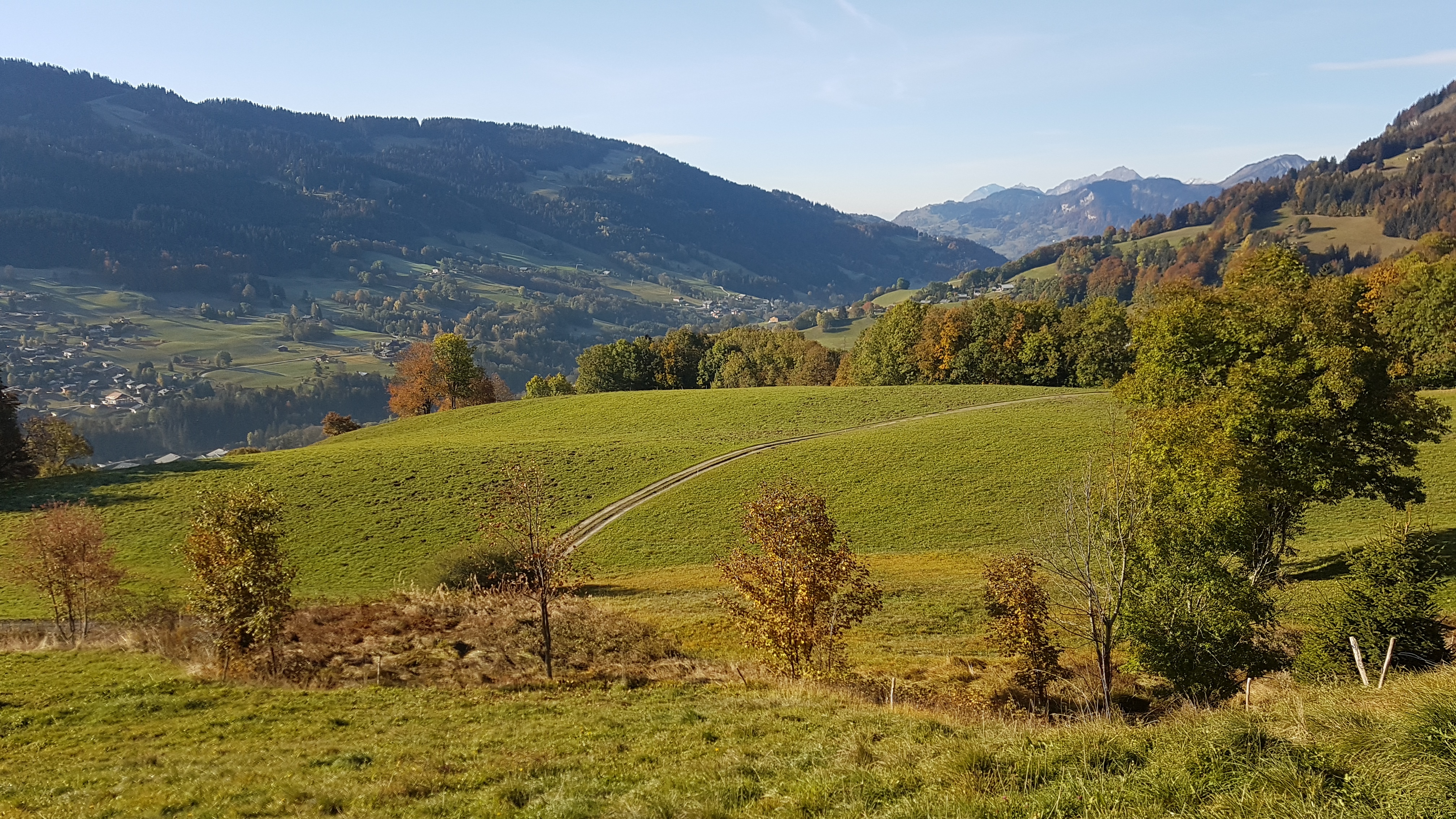Zone humide des Granges