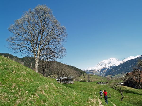 Sur les hauteurs de Praz sur Arly, près des Granges - Yann Jaccaz