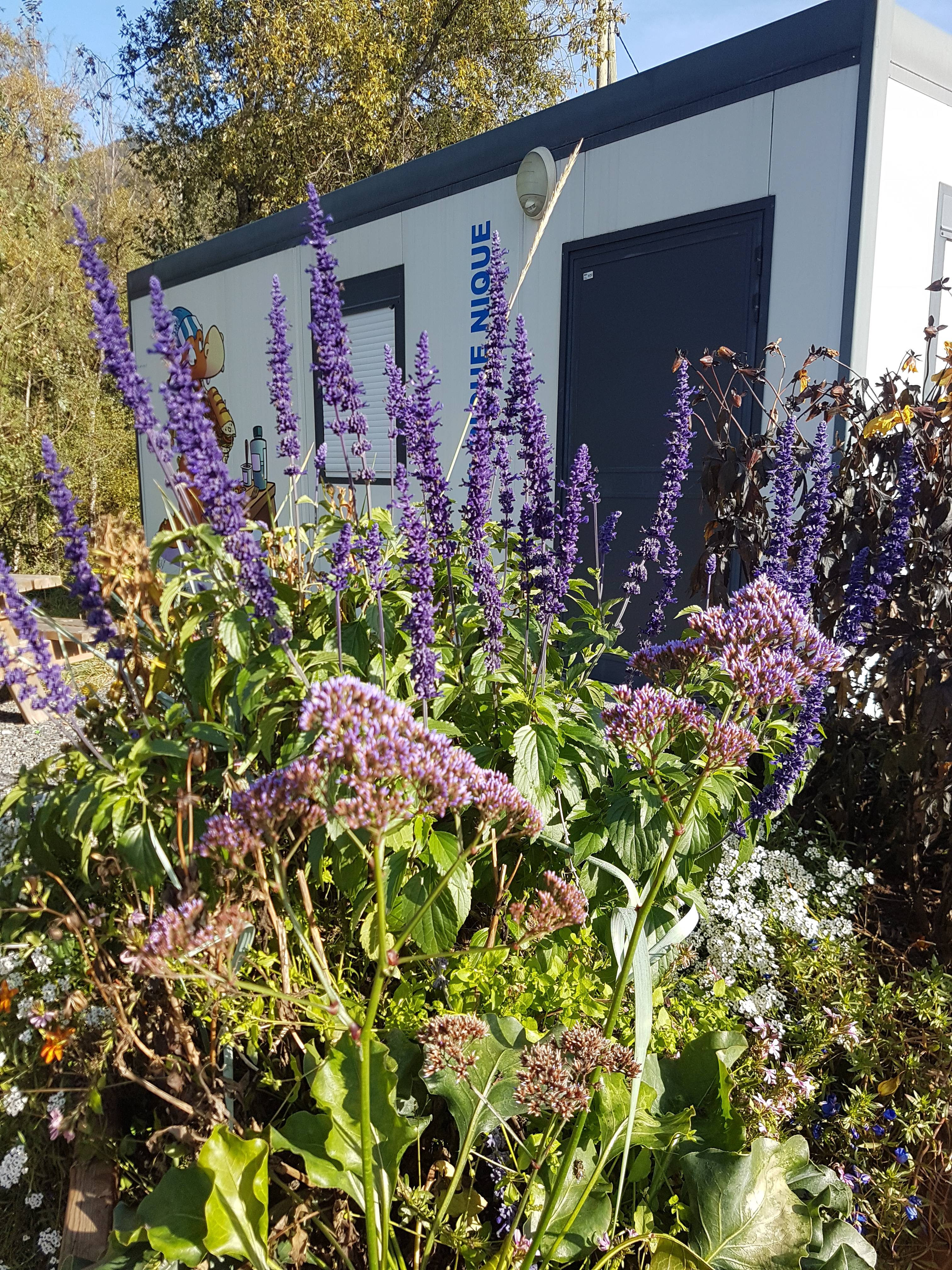 Adopte une fleur 2021