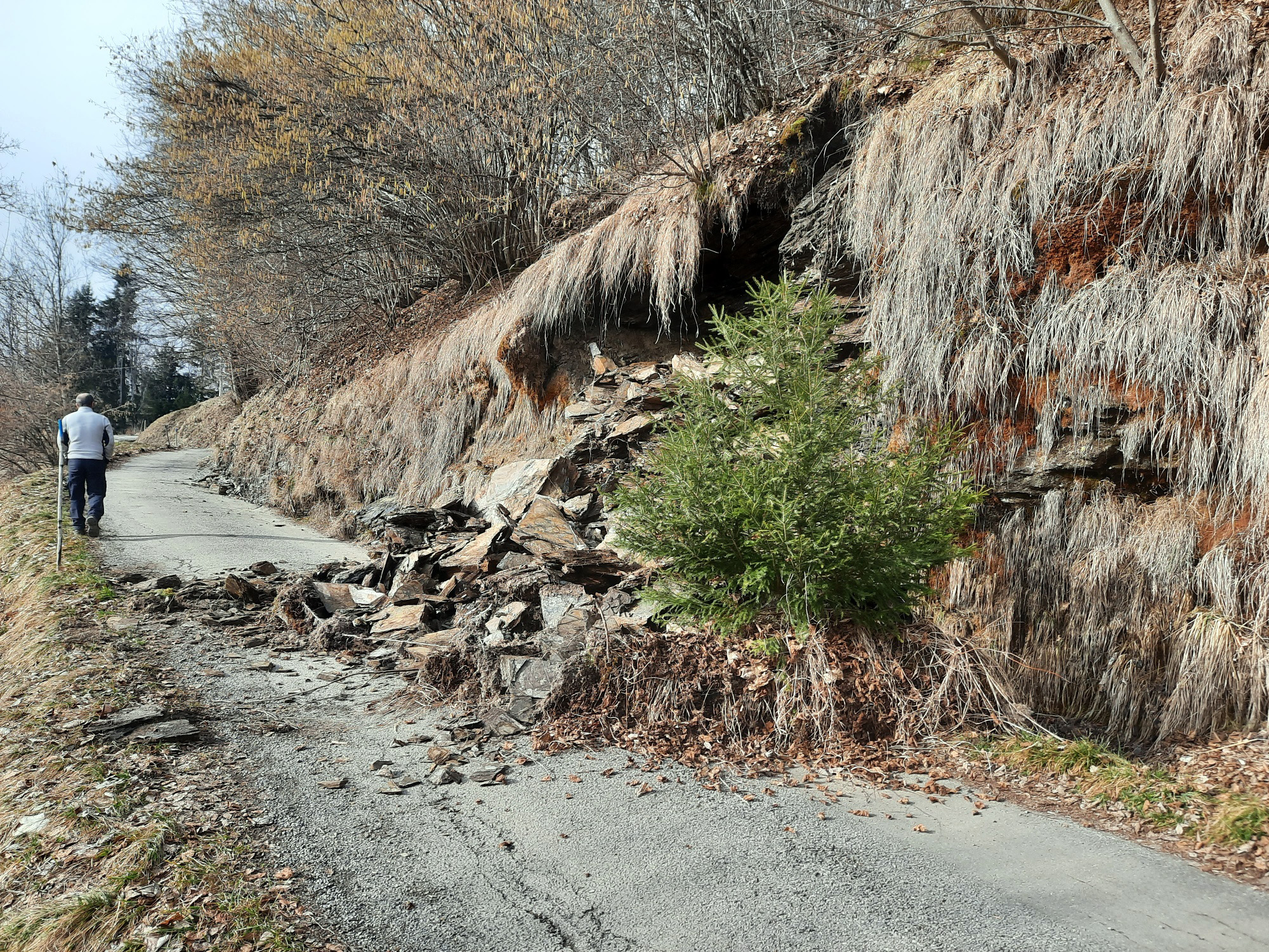 Glissement de terrain, route du Plan de l'Aar, le 22 février 2023