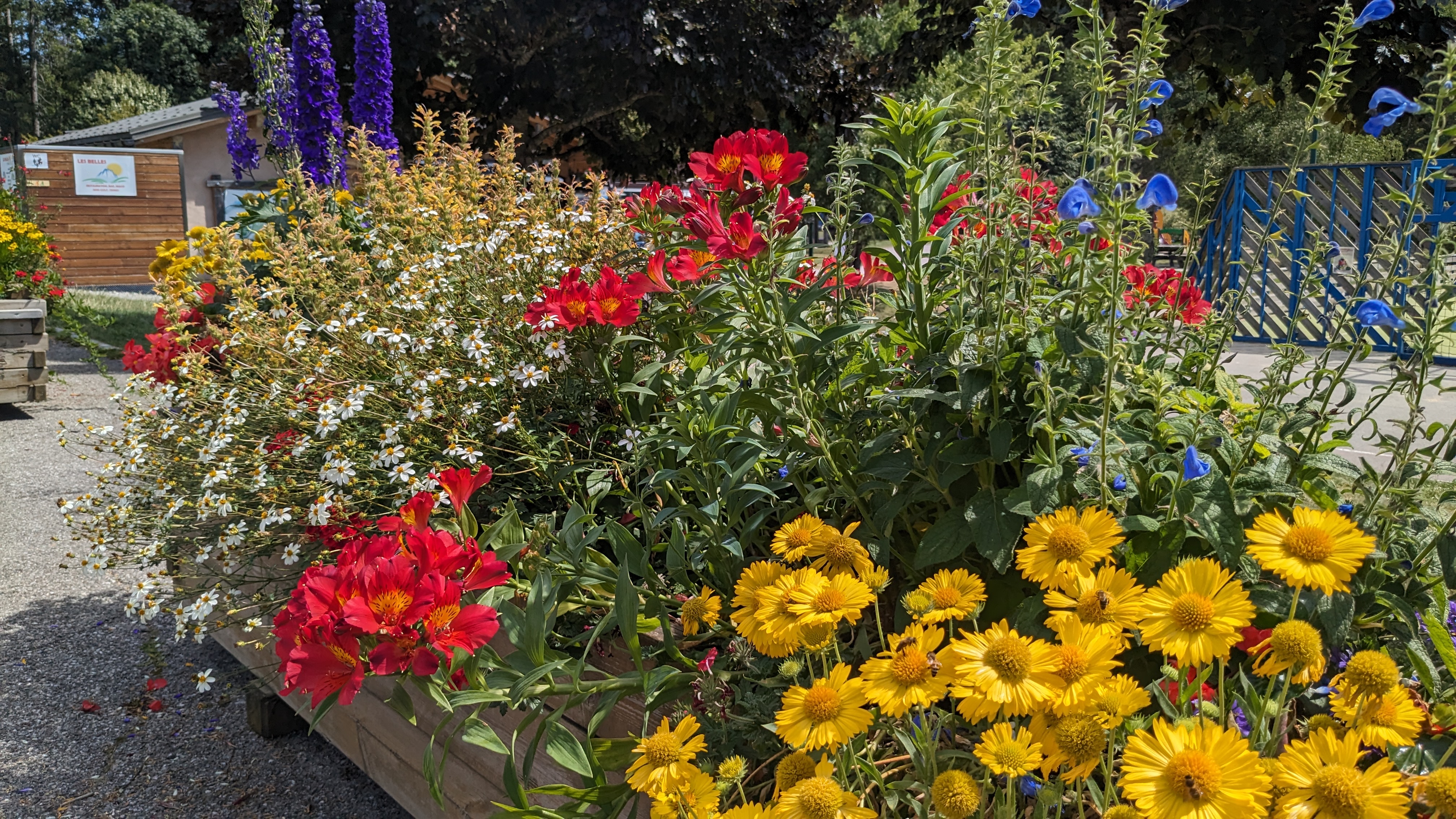 Fleurissement de Praz en 2023 © Marie-Anaïs Lien