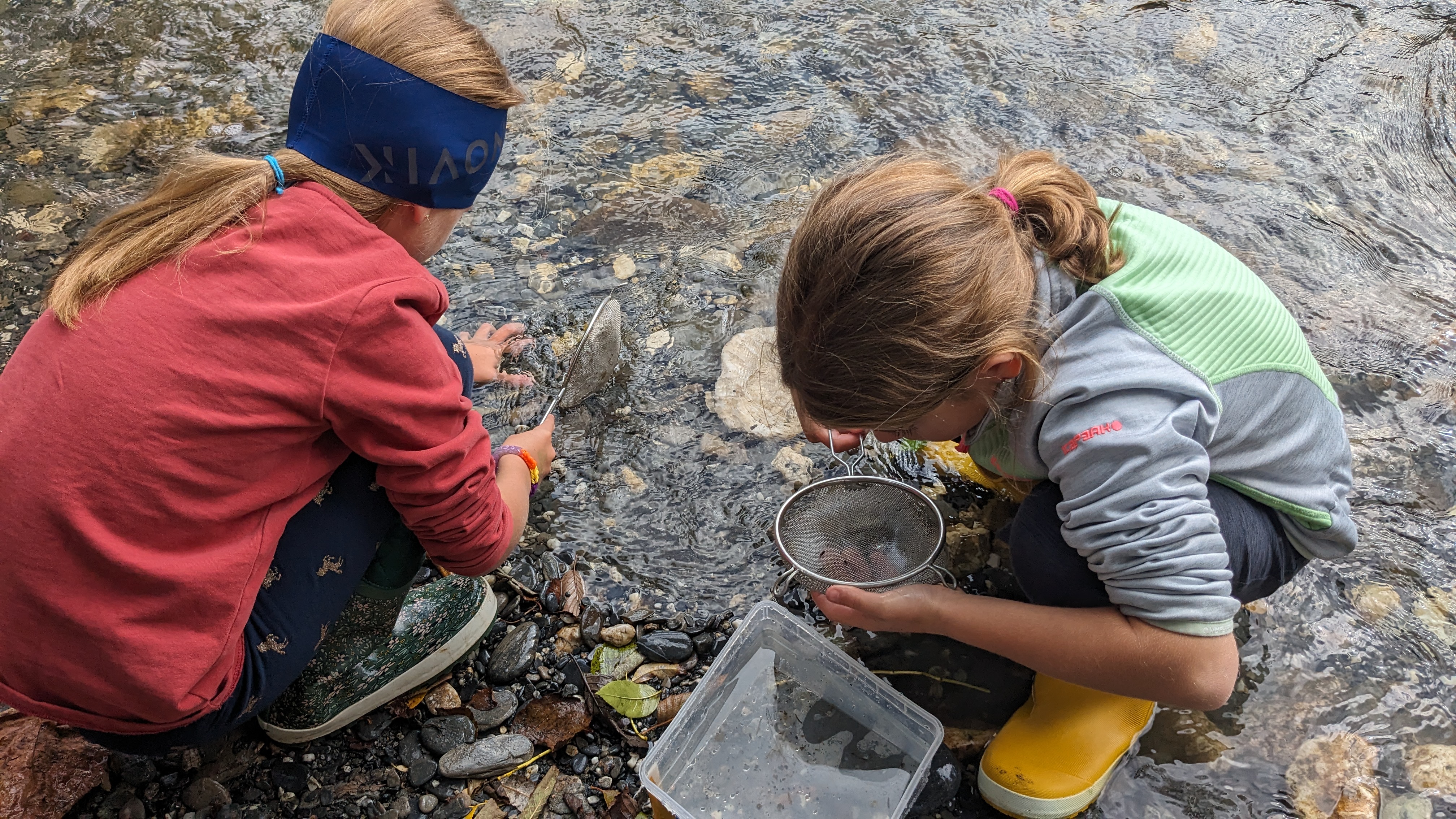 Sortie des élèves des Éterlous au bord de l'Arly, le 19/10/2023 : biodiversité, pollution... - Marie-Anaïs Lien