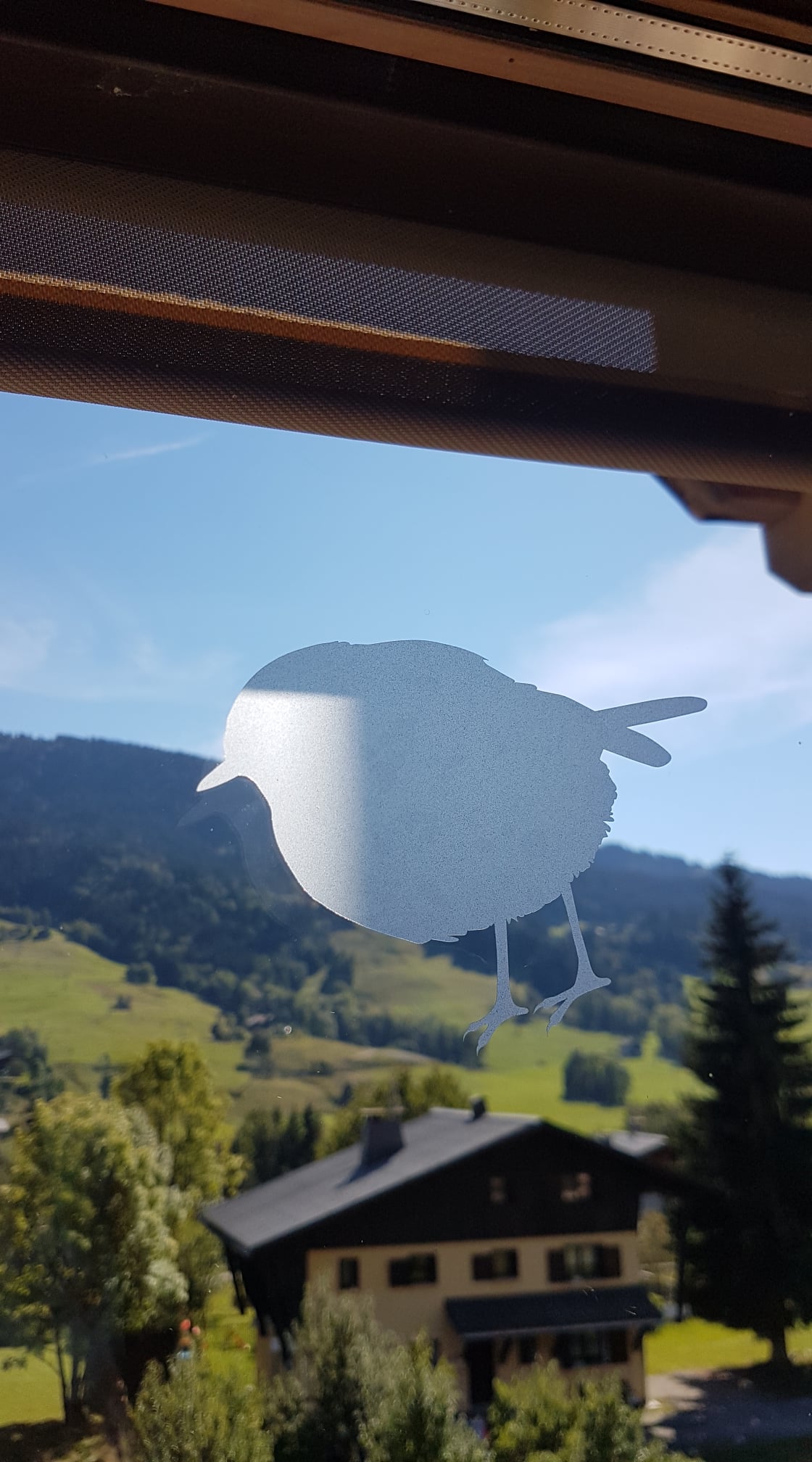 Dispositif anti-collision mis en place dans la salle du Conseil Municipal de la mairie