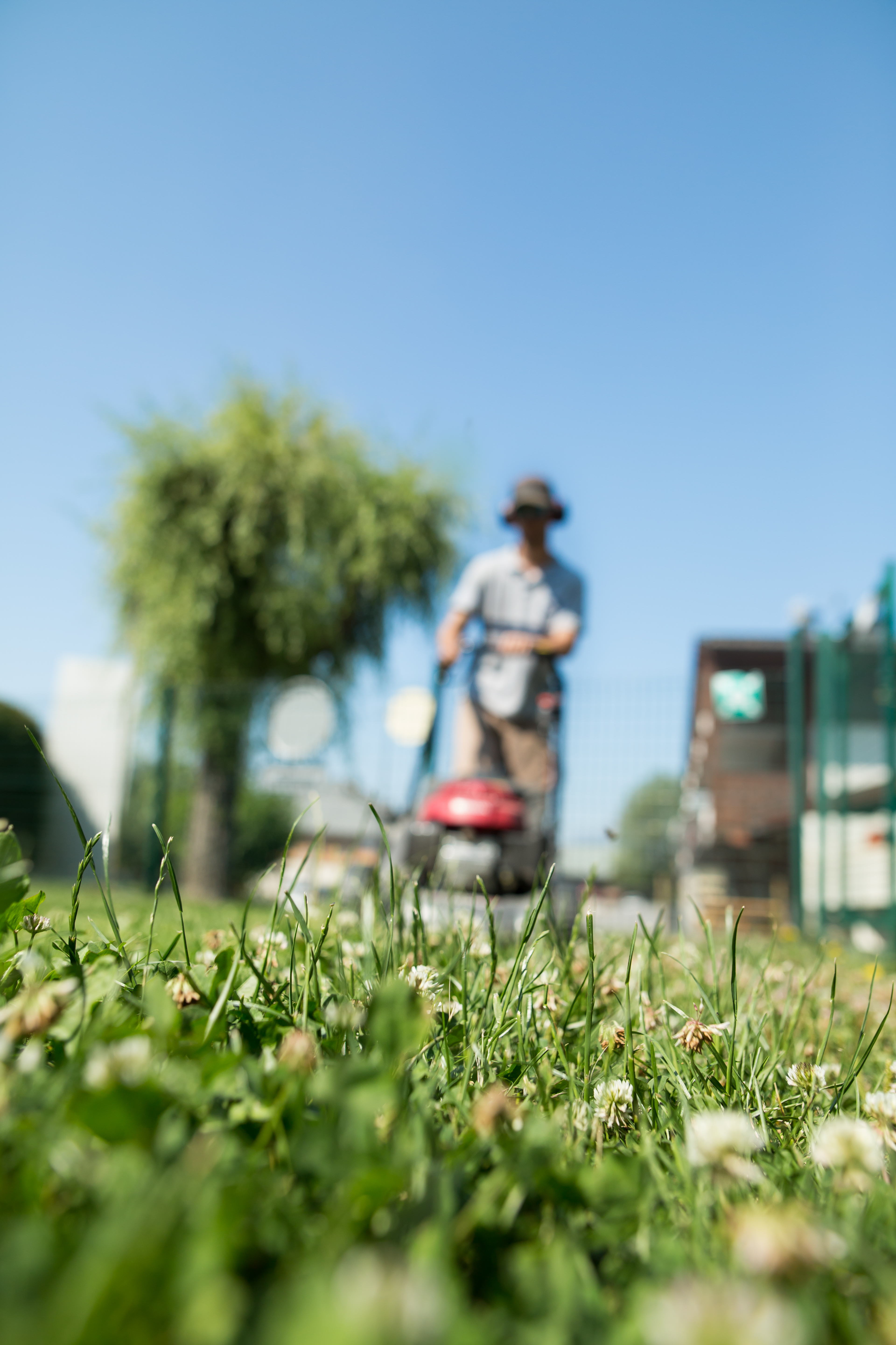 Espaces verts : tonte - Alexia Burille