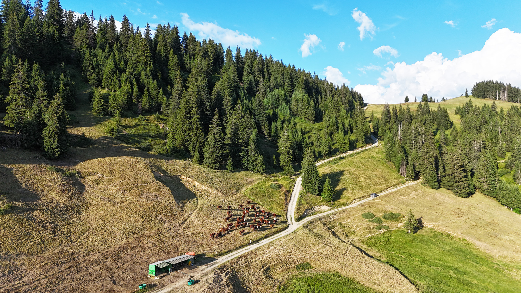 Plan de l'Are Praz sur Arly