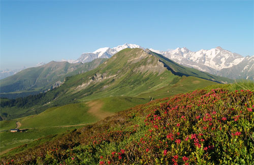 Alpages de Véry à Praz-sur-Arly - Mairie de Praz-sur-Arly