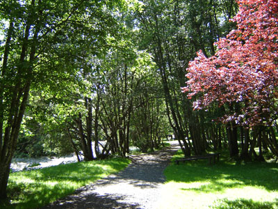 Berges de l'Aly à Praz-sur-Arly - Sylvie Bessy