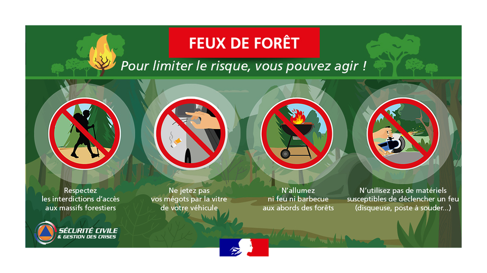 Feux de forêt - Gouvernement français