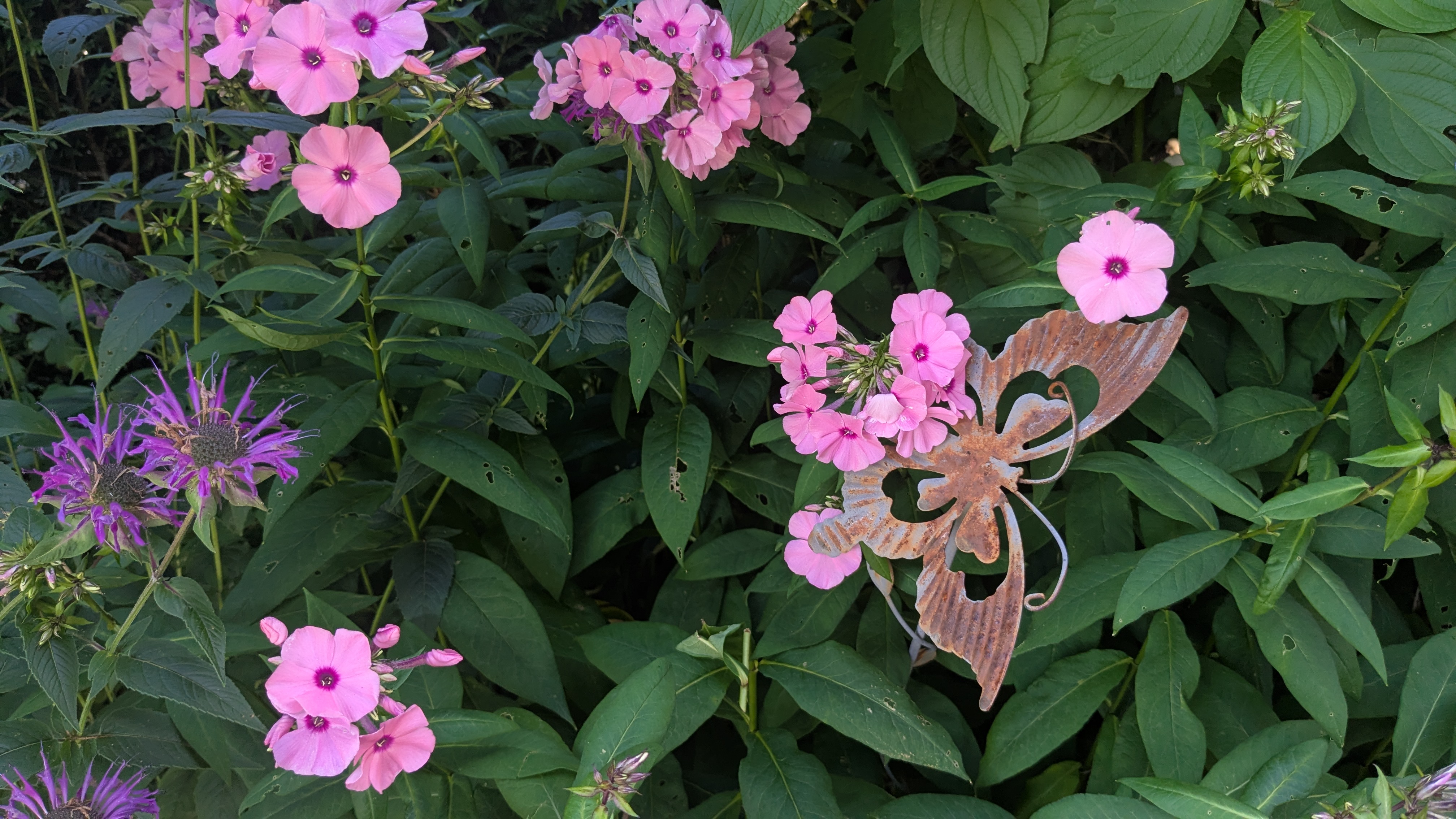 Concours des maisons fleuries 2025, catégorie « Copropriétés » - Marie-Anaïs Lien