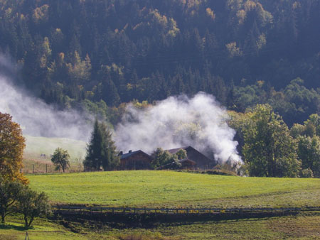 PPA : brûler ses déchets de bois et végétaux est désormais interdit.