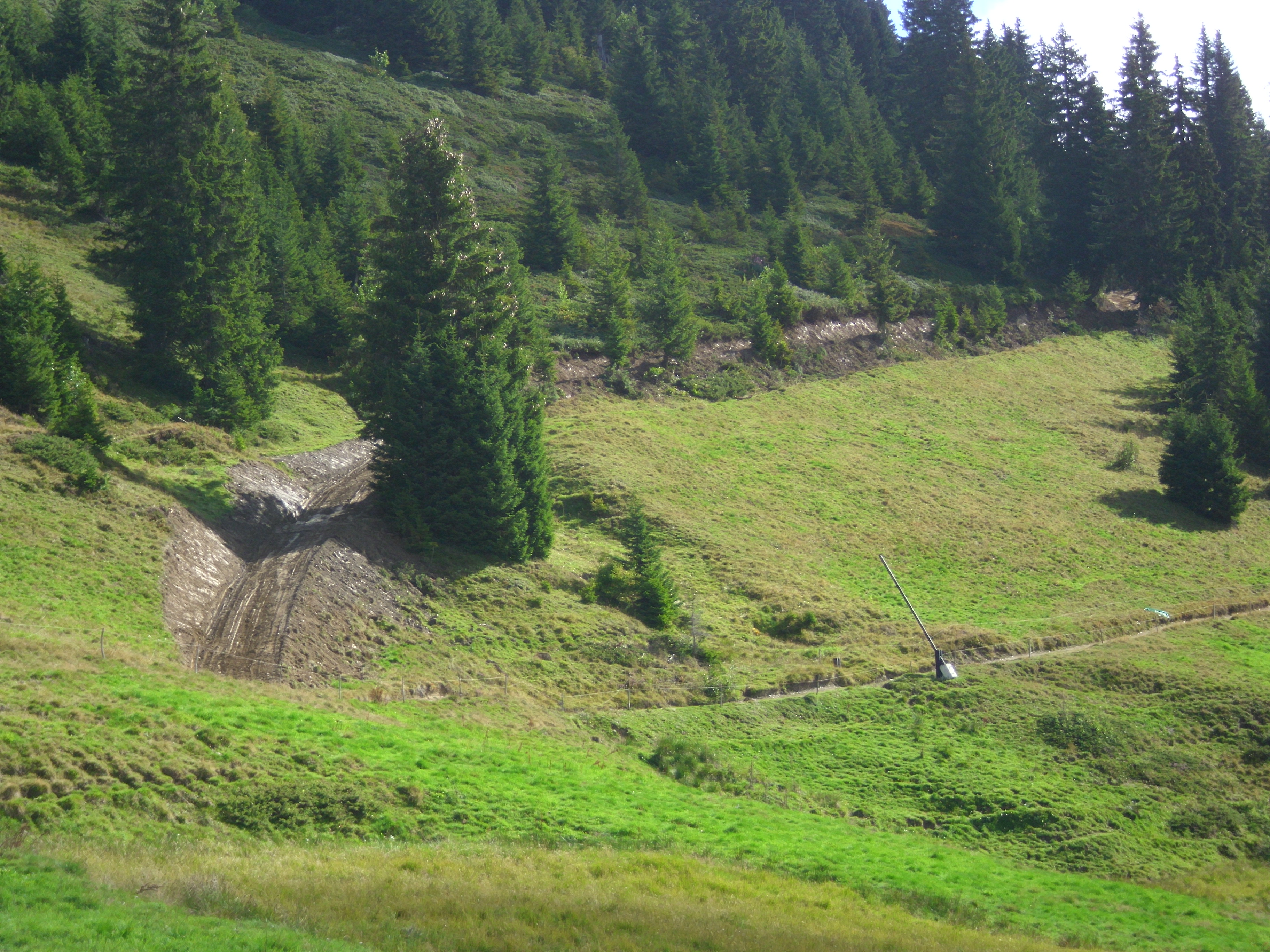 Forêt communale de Praz-sur-Arly - Olivier Perrin