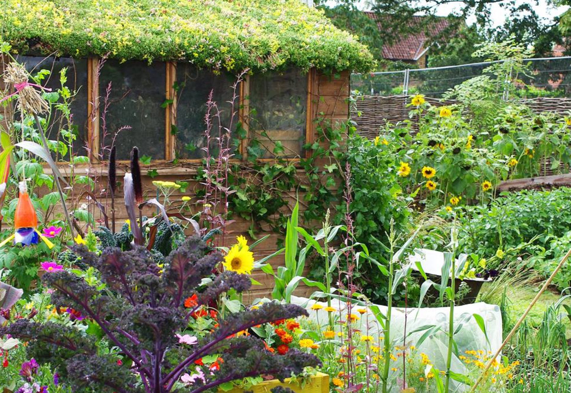 Un exemple de jardin partagé