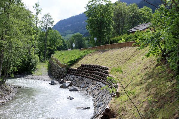 Restauration des berges de l'Arly