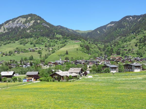 Praz-sur-Arly le 20 mai 2020