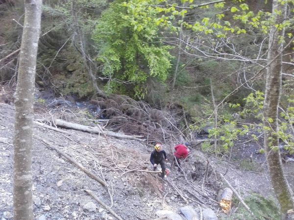 Embâcle : obstruction du lit de l'Arly par un amas de végétaux...