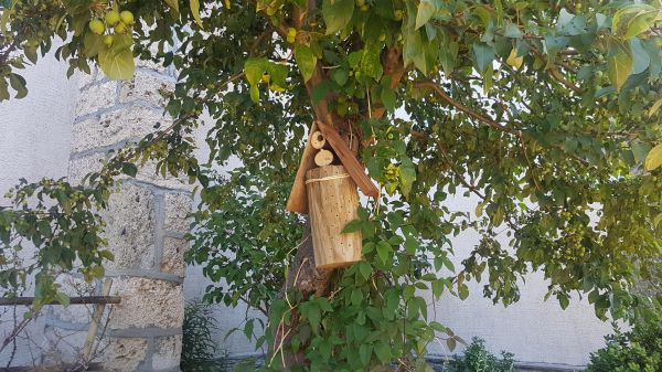 Hôtel à insectes © Marie-Anaïs Lien