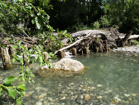 Seuil supprimé pour laisser passer les poissons