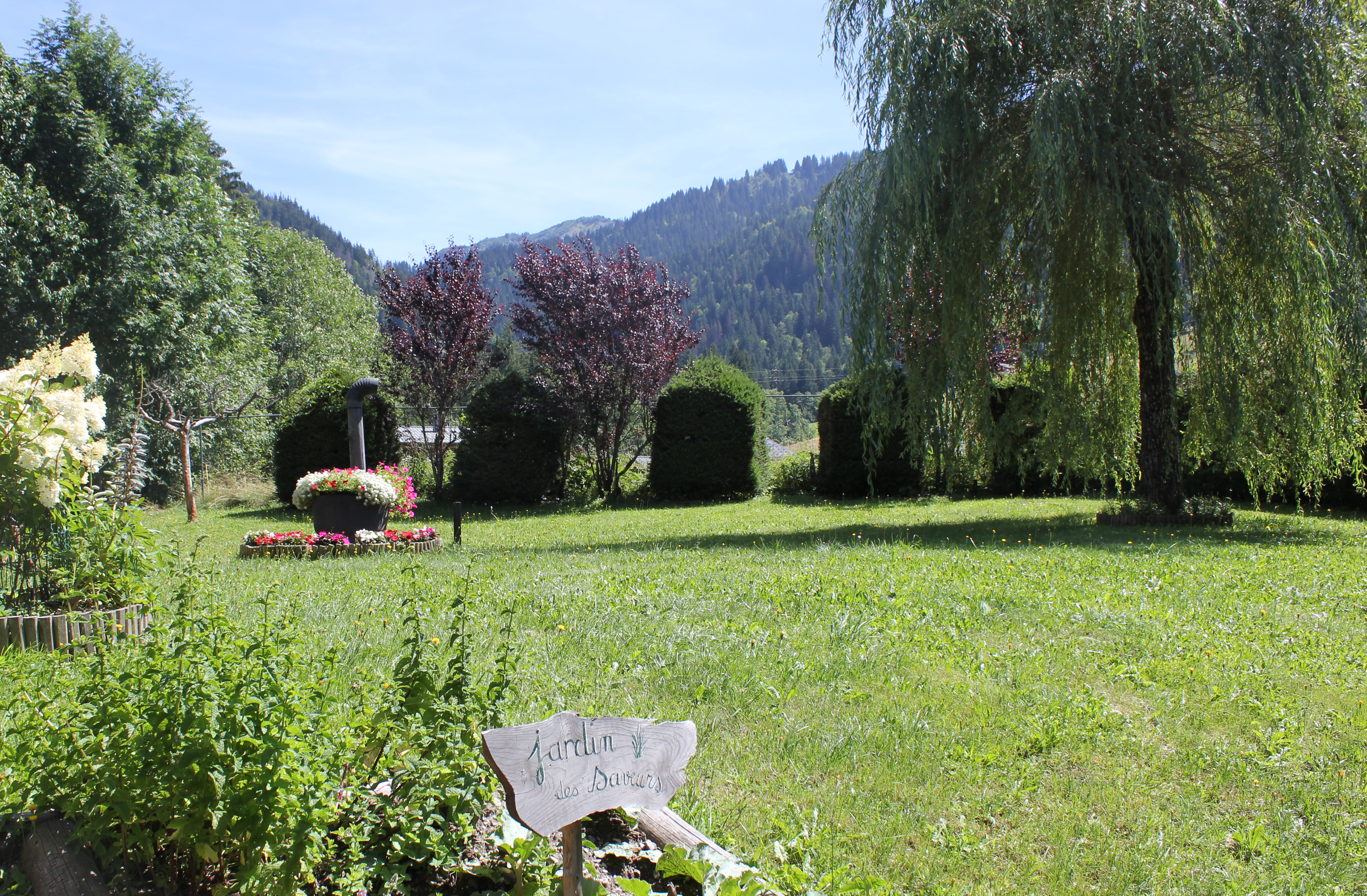 Haie praline - Solange Cooke