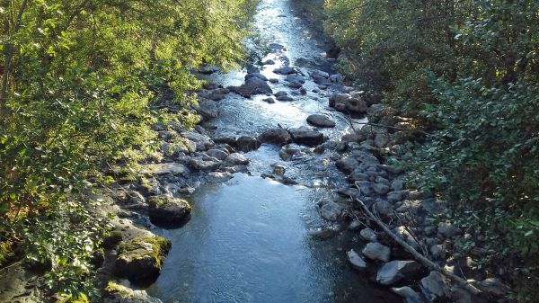 Vue depuis le pont de la Rosière
