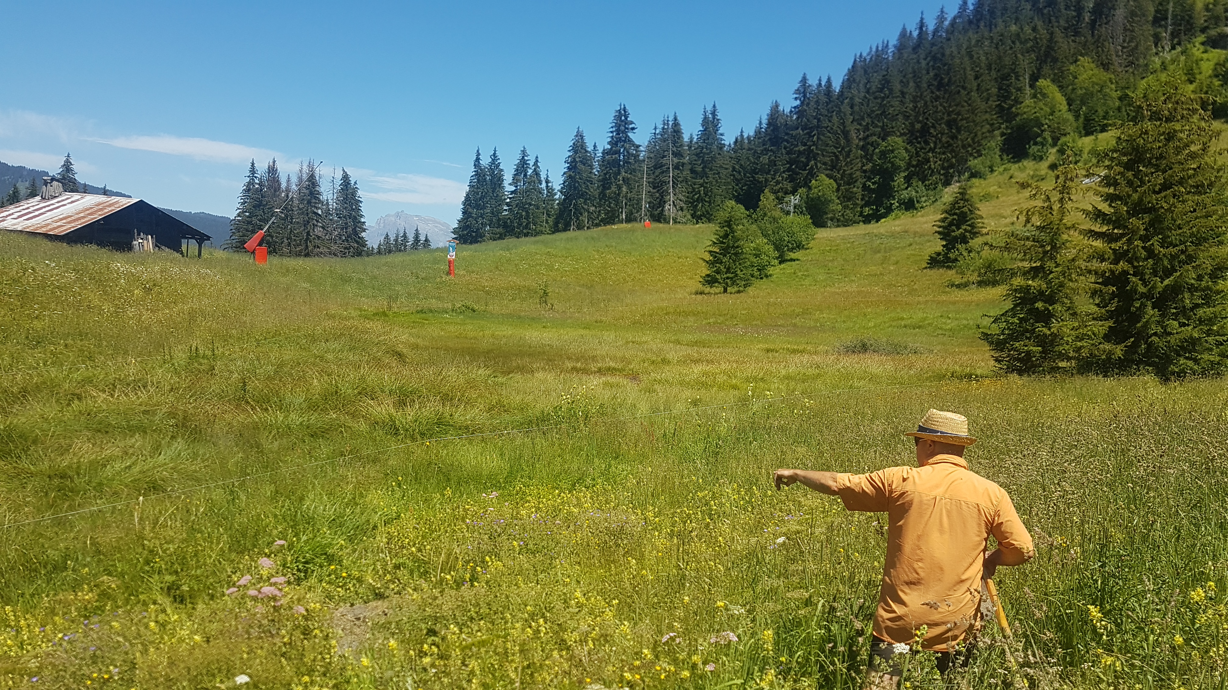 Zone humide des Évettes délimitée par un fil blanc © Marie-Anaïs Lien