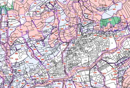 Plan de prévention des risques naturels de Praz sur Arly de 2012