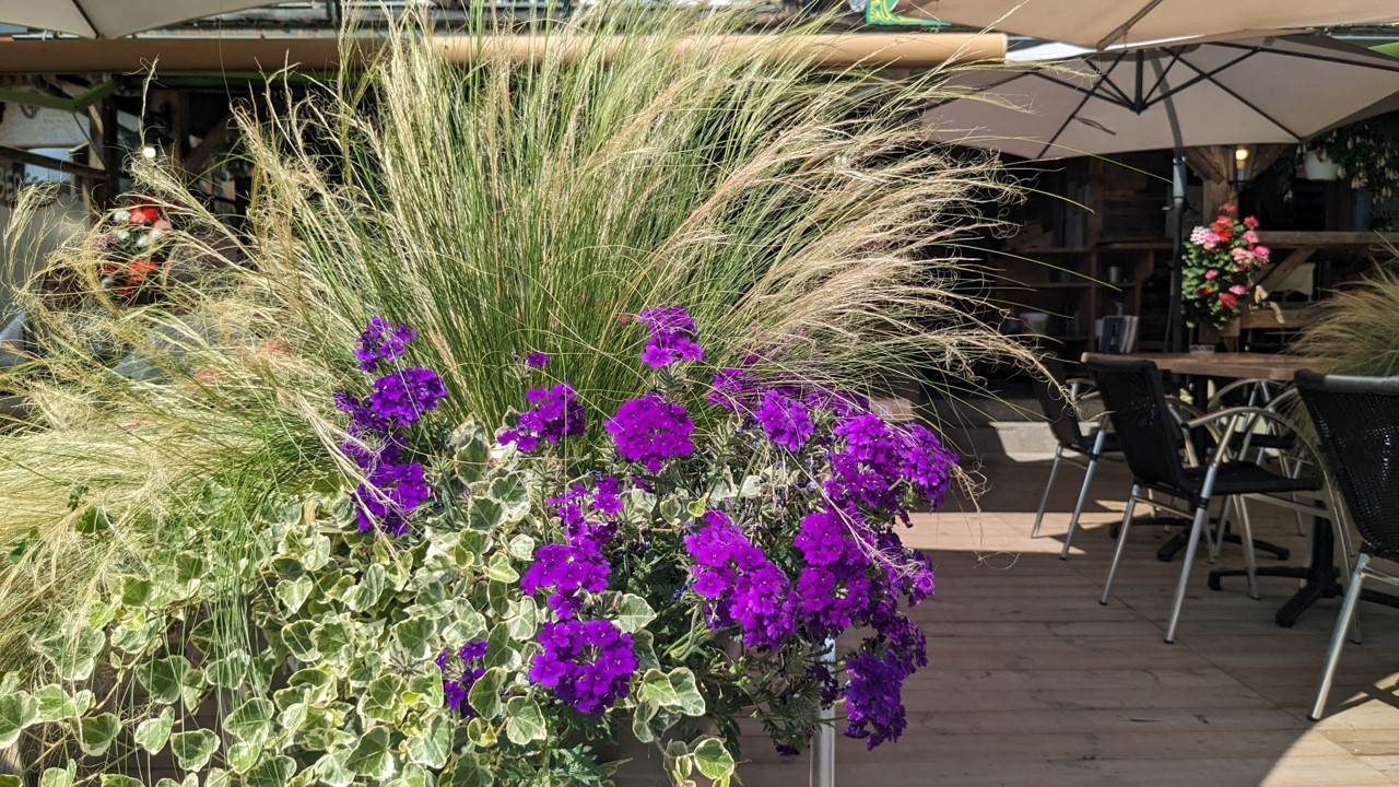 Concours des maisons fleuries 2024, catégorie « Restaurants/Autres commerces »