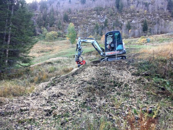 Zone humide d'Holvet : rognage de souches pour ramener la lumière