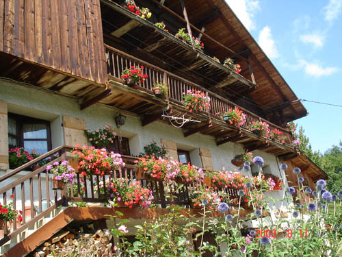 Concours des maisons fleuries 2009 - Anthony Chambet ou Sylvie Bessy