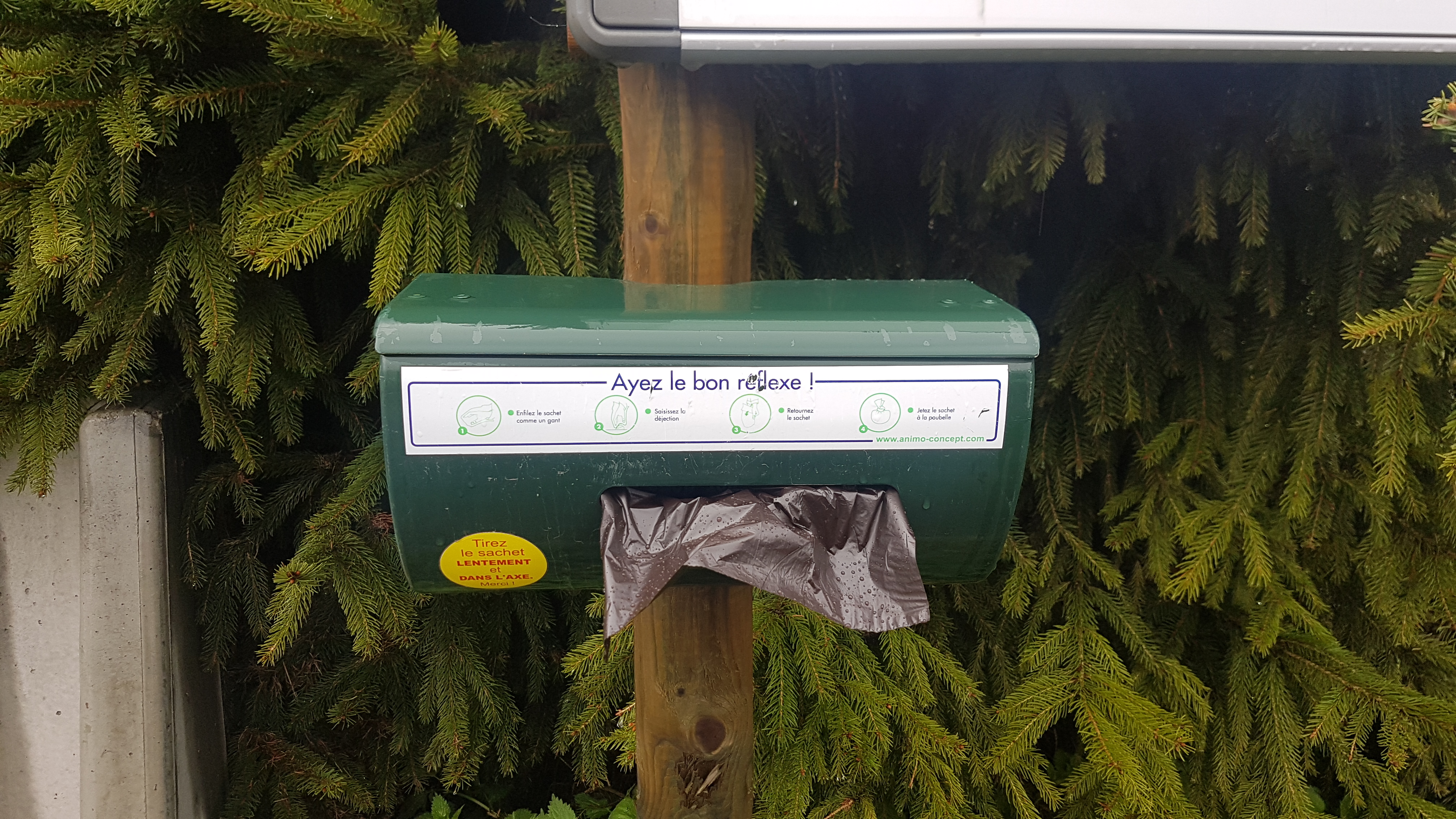 Sac Toutounet / Caca / Déjection canine - Marie-Anaïs Lien