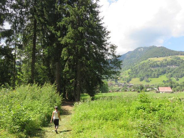 Nouveau sentier entre Varins et Thouvassières