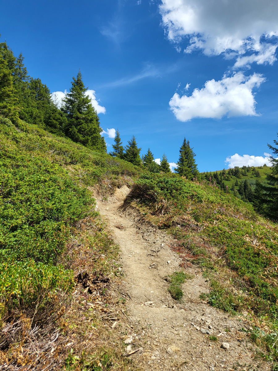 Le sentier menant au Col de Vorès retrouve sa jeunesse.