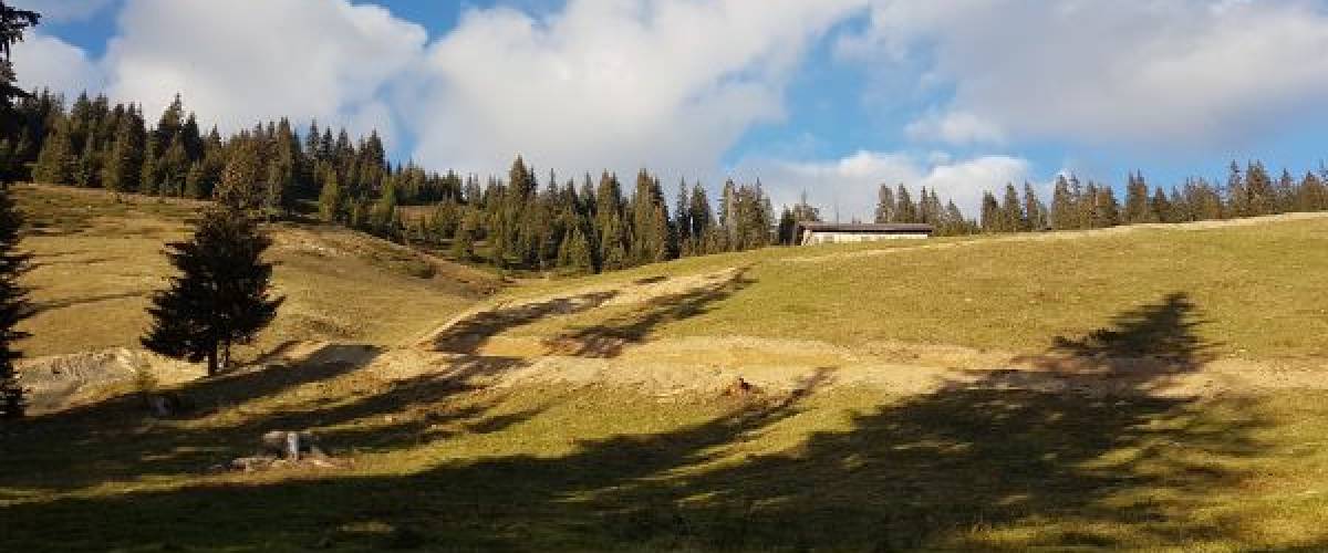 Sentier du Plan de l'Aar élargi © Marie-Anaïs Lien